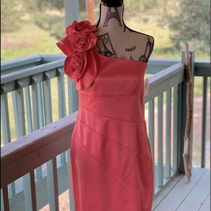 NWT Jessica Simpson Coral Satin Dress